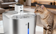 Do Vets Recommend Water Fountains for Cats? The Ultimate Guide to Feline Hydration