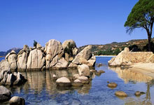 Do Vets Recommend Water Fountains for Cats? The Ultimate Guide to Feline Hydration